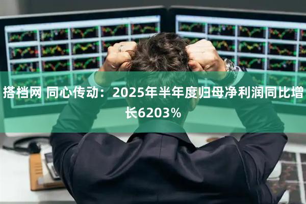 搭档网 同心传动：2025年半年度归母净利润同比增长6203%