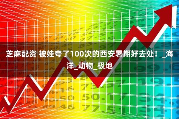 芝麻配资 被娃夸了100次的西安暑期好去处！_海洋_动物_极地