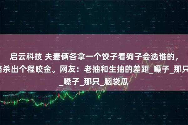 启云科技 夫妻俩各拿一个饺子看狗子会选谁的,结果半路杀出个程咬金。网友:老抽和生抽的差距_嗓子_那只_脑袋瓜